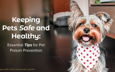 Keeping Pets Safe and Healthy: Essential Tips for Pet Poison Prevention